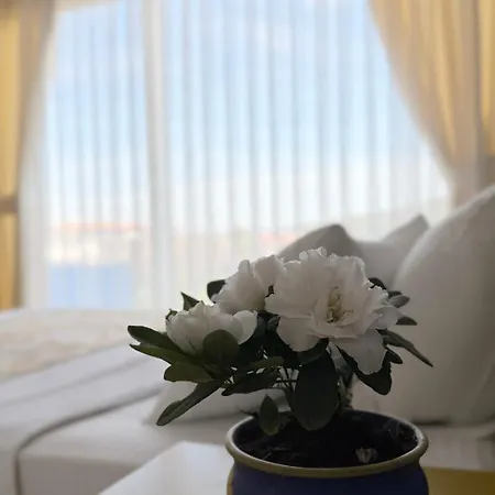 Cunda Morisi 3* Айвалык